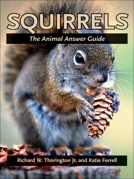 Title details for Squirrels by Richard W. Thorington Jr. - Available